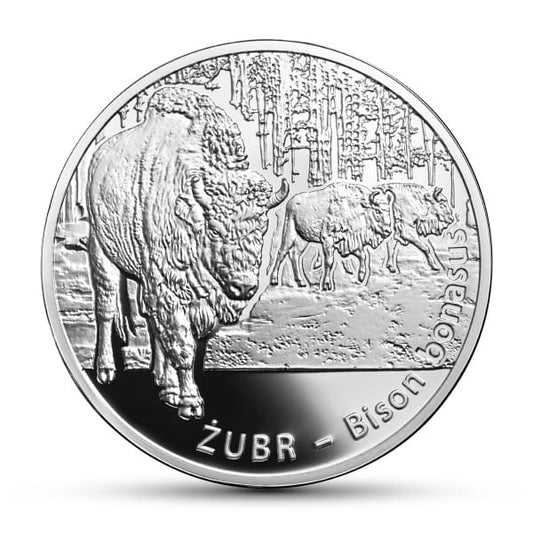 20 zł Zwierzęta świata – żubr