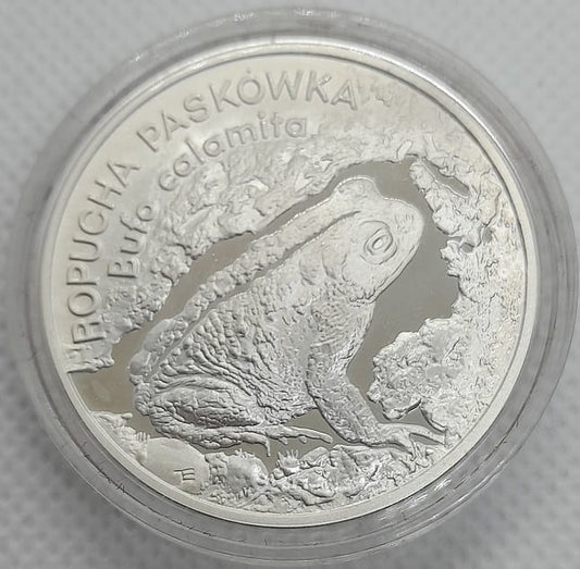 Moneta 20 zł Ropucha paskówka 1998